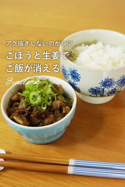 ごぼうでご飯がとまらんご飯