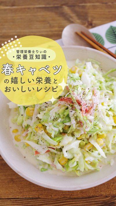 【春キャベツ編】