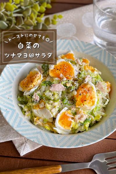 ＼止まらない／
『白菜のツナマヨ卵サラダ』