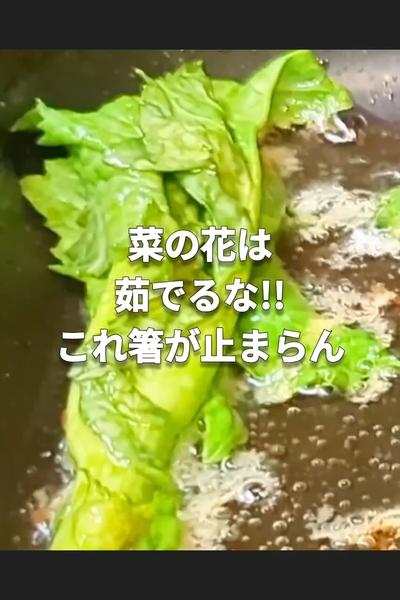 衣が悪魔的な菜の花