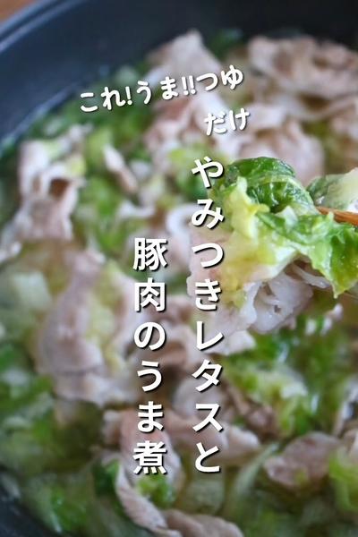 材料3つ！やみつきになるレタスと豚肉のうま煮