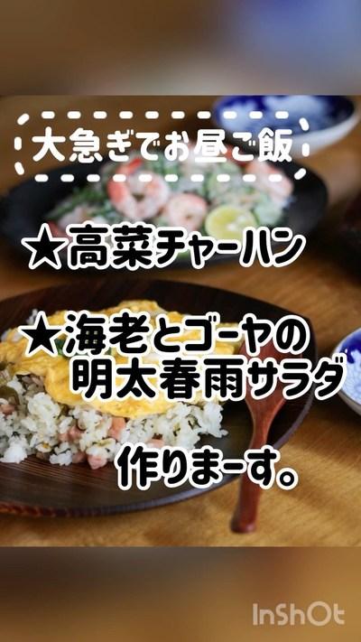 高菜チャーハンと春雨サラダ