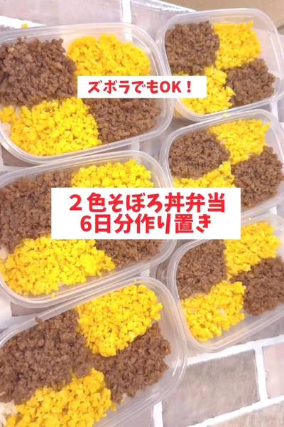 【1食170円】【２色そぼろ弁当】