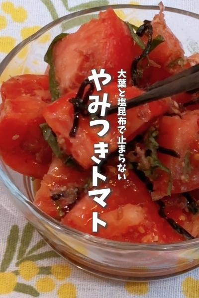 火を使わない！大葉と塩昆布で🍅やみつきトマト
