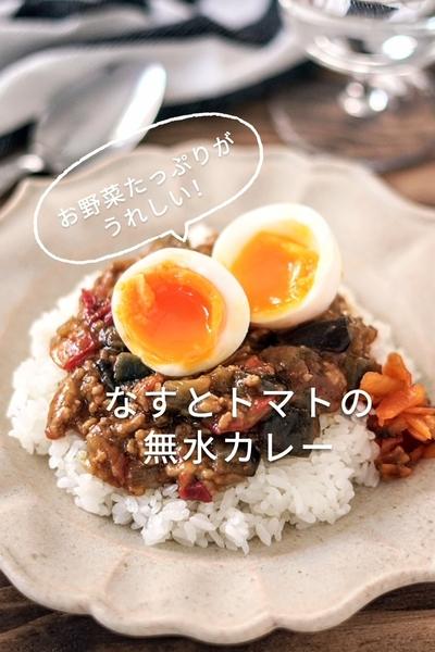 なすとトマトの無水カレー