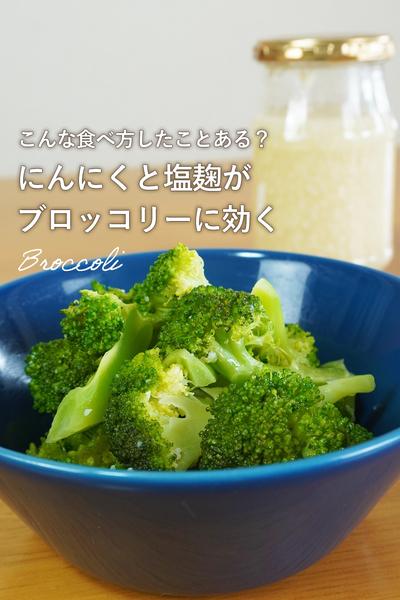 【レンチン簡単】腸活に嬉しいにんにくブロッコリー
