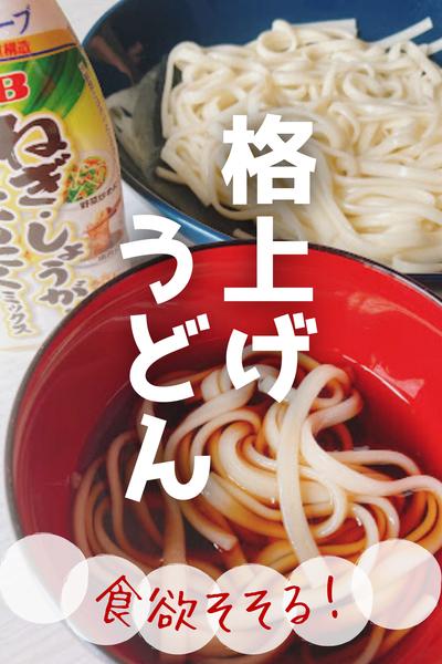 これ1本で！格上げうどん