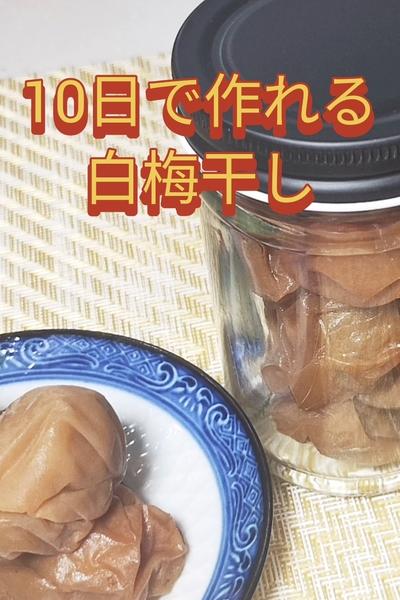 ジップロックで梅干し作り 10日で作れる白梅干し