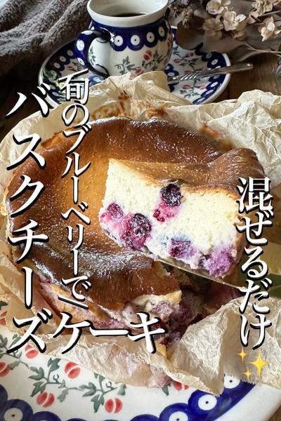 \旬のブルーベリーで/ブチうま♡【バスチー】