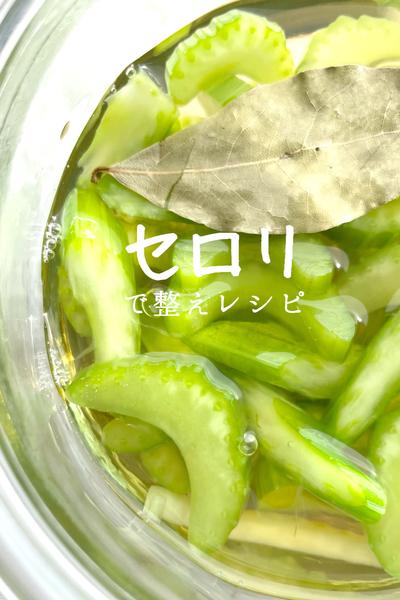 栄養士がつくる！セロリのマリネ