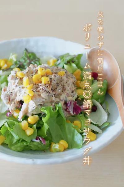 簡単ごはん！ボリューム満点🐟鯖マヨサラダ丼🥗
