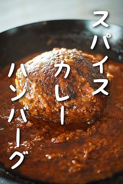 スパイスカレー煮込みハンバーグ