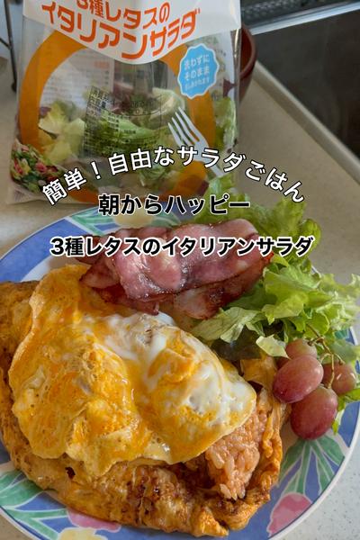 朝からハッピー!!簡単！自由なサラダごはんプレート