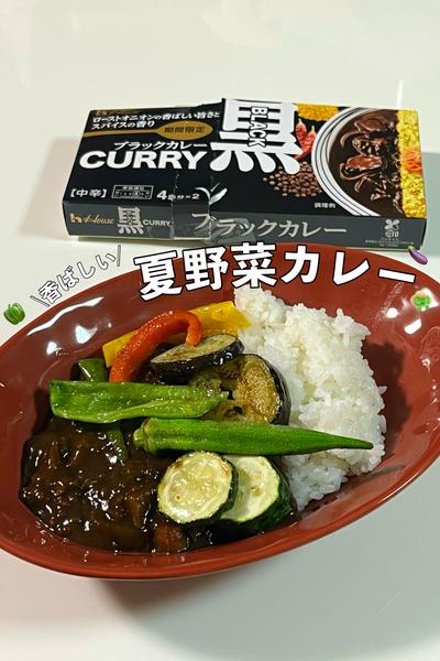 \香ばしい/夏野菜カレー🍛
