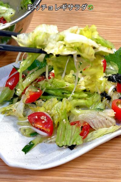 レタス一玉は余裕でペロリ😋彩りチョレギサラダ🥗