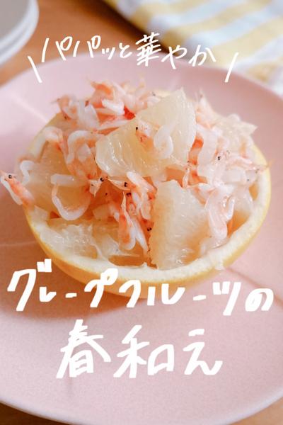 フロリダグレープフルーツの春和え