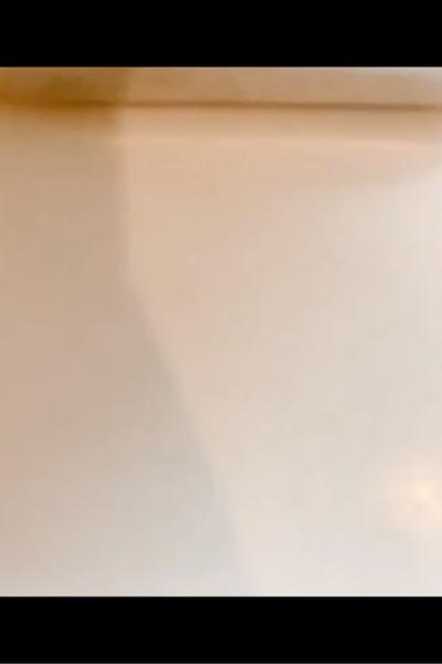 チューリップクッキー！