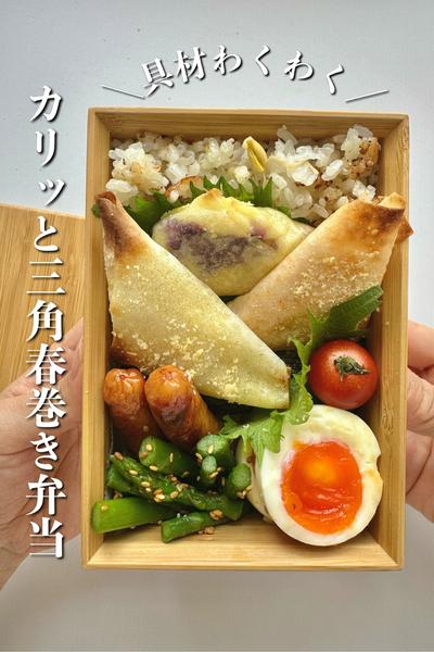 ＼具材ワクワク／カリッと三角春巻き弁当