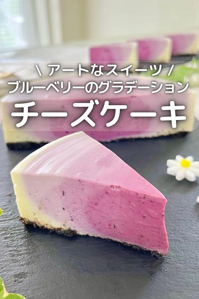 \ ブルーベリー / グラデーションチーズケーキ