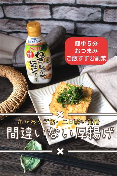 リピ決定❣️ \間違いない厚揚げ/