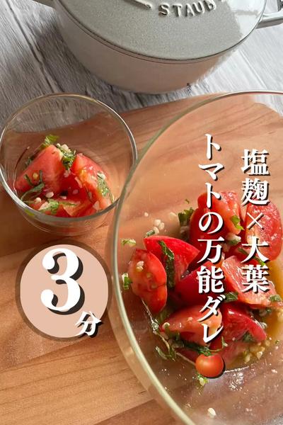 ＼塩麹×大葉の万能ダレ／