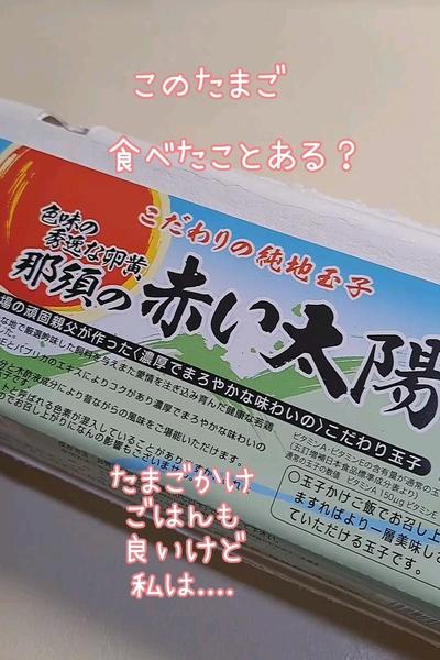 こだわりの純地玉子のチーズケーキ