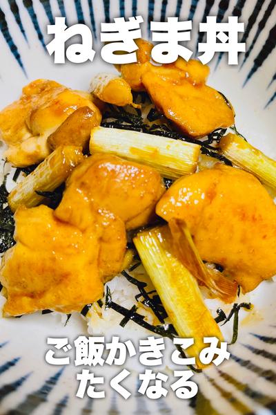 ご飯かきこみたくなる！ねぎま丼