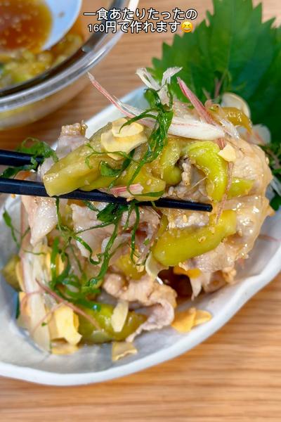 ピリ辛ダレが堪らない😋とろとろナスのロース豚しゃぶ