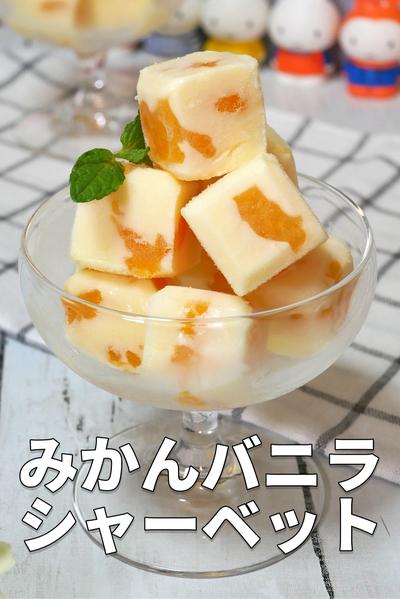 【材料4つ】みかんバニラシャーベット