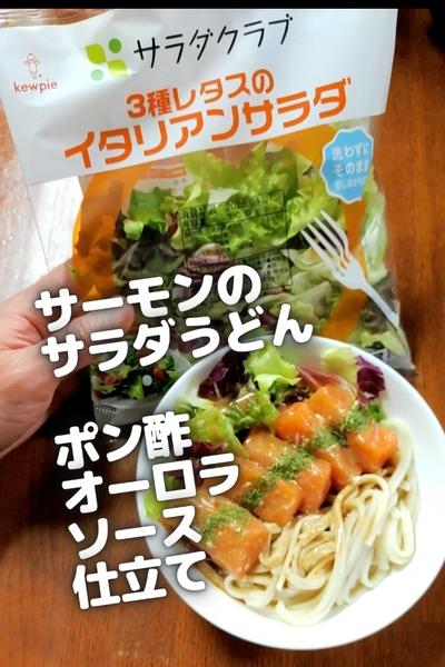 ●サーモンサラダうどん★ポン酢オーロラソース仕立て