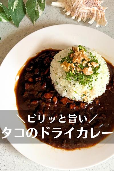 カフェ風！タコのブラックドライカレー