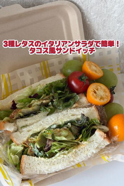  野菜たっぷり！タコス風サンドイッチ
