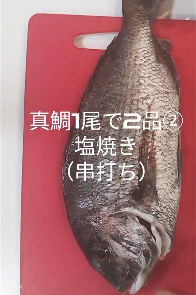 真鯛1尾で2品②塩焼き（串打ち）