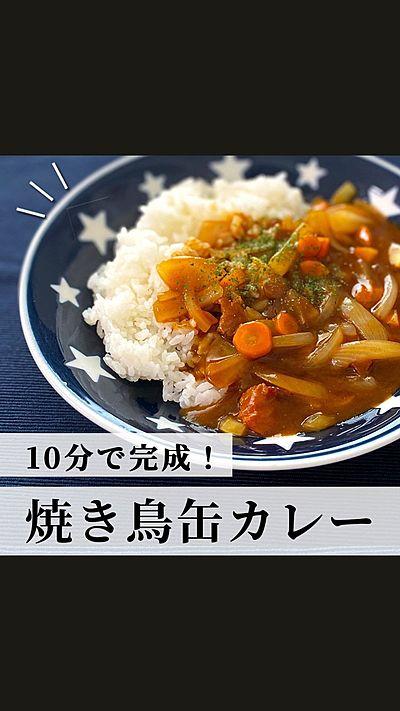 焼き鳥缶カレー