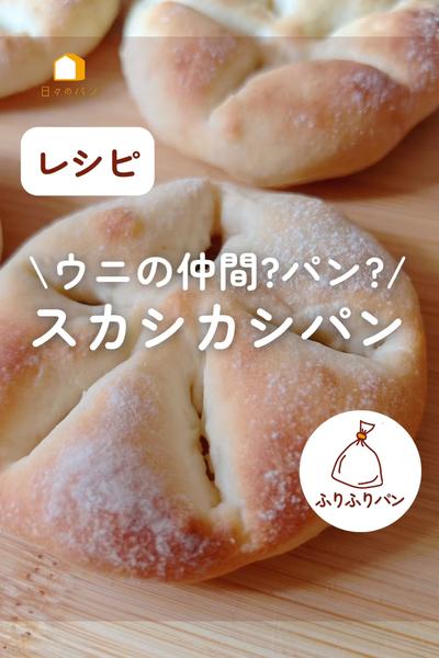ウニの仲間のスカシカシパンをパンで作る！