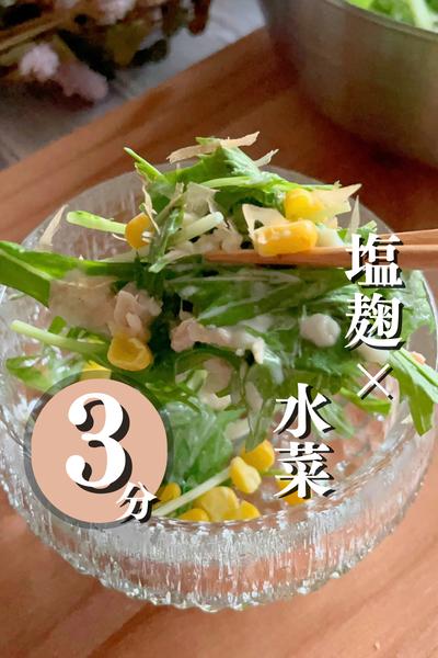 ＼水菜の塩麹マヨサラダ🥗／