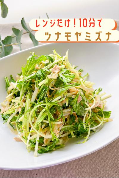 10分でできるプラス一品🥗ツナモヤミズナ