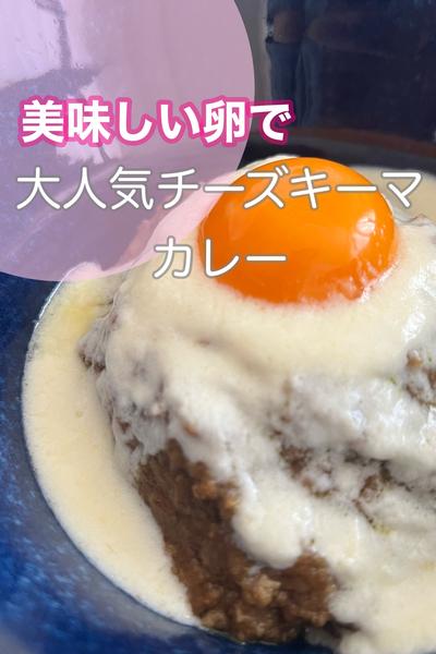 美味しい卵乗っけてチーズキーマカレー
