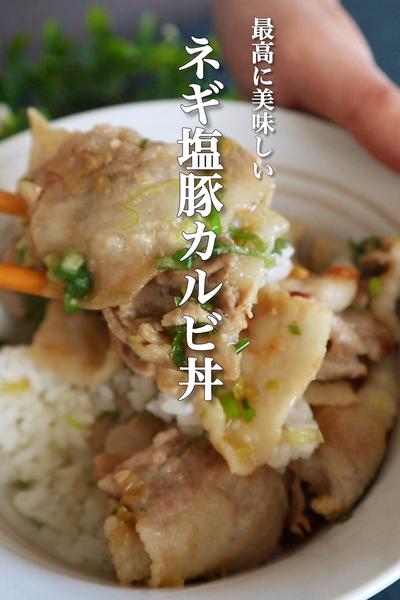 最高に旨いを約束する。ネギ豚塩カルビ丼