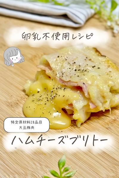 【卵乳小麦不使用】ハムチーズブリトー🧀
