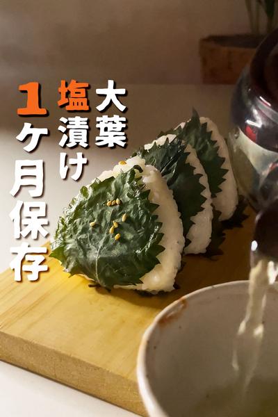 簡単【しそ塩漬け】作り方
大葉大量消費！おにぎり