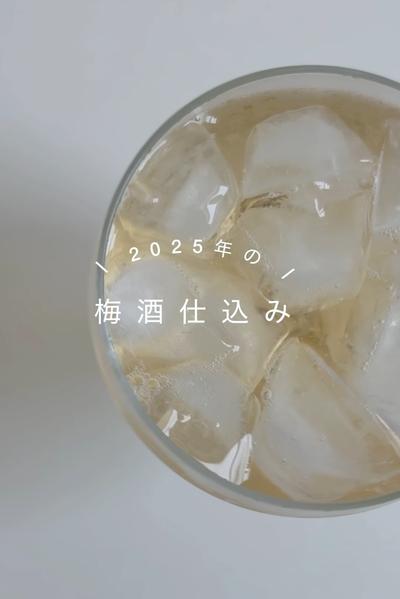 梅酒の作り方　初夏を楽しむ梅仕事🌿