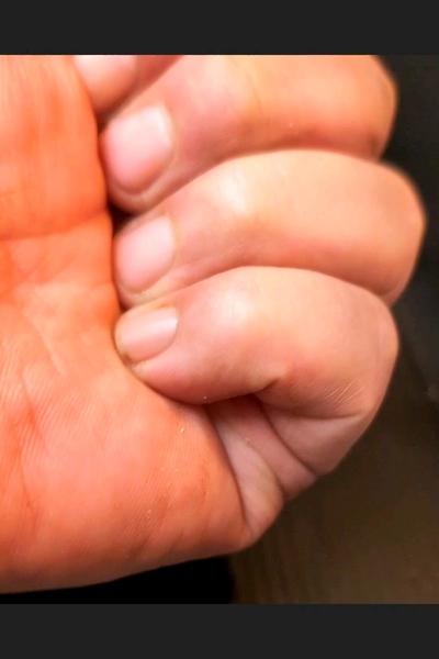 吉野家の牛丼の具を使用したスペインもオムレツ