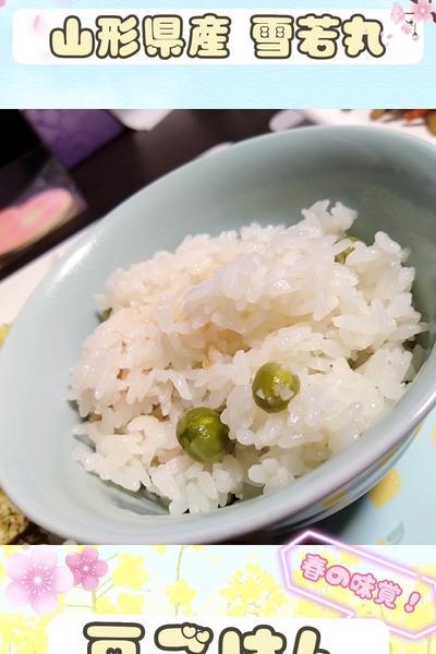 ＼春を感じる雪若丸の豆ごはん／