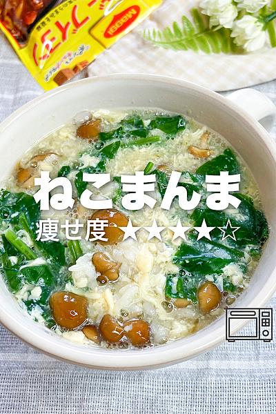 秘密にしたい‼︎究極のやせ飯🐈ねこまんま