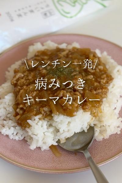 レンチン一発！病みつきキーマカレー