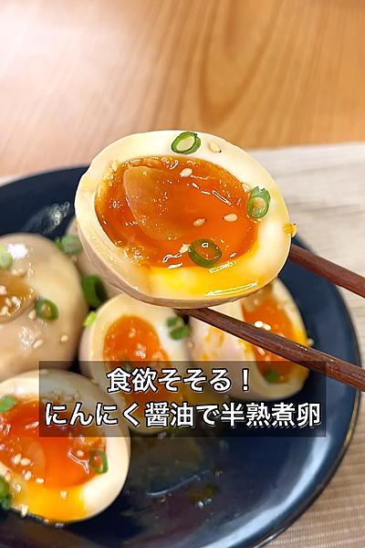 煮卵 HALL・IN・ONE・EGG（岩津ねぎの甘辛うま煮）と丹波路たまごせせらぎ6