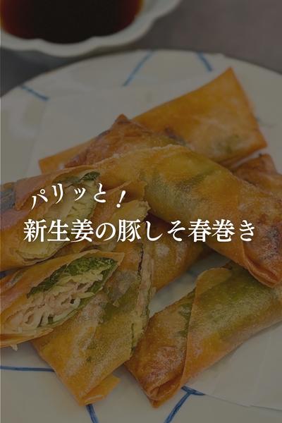 パリッと！新生姜の豚しそ春巻き
