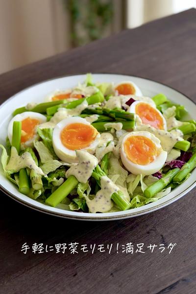 手軽に野菜モリモリ！満足サラダ