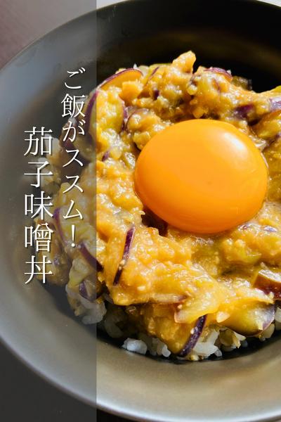 茄子が美味しい！茄子味噌丼